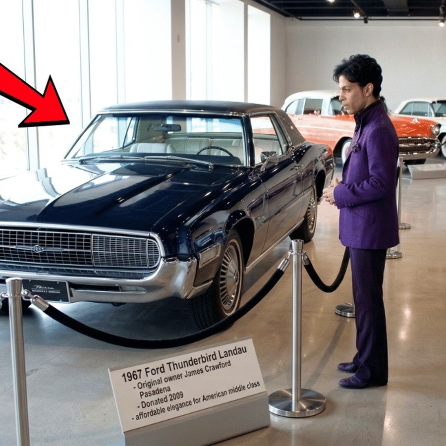 Idomeni: Border Crossing or Permanent Trap? D Prince Saw His Father’s Dream Car in a Museum — What He Did Next Educated 187 Students D