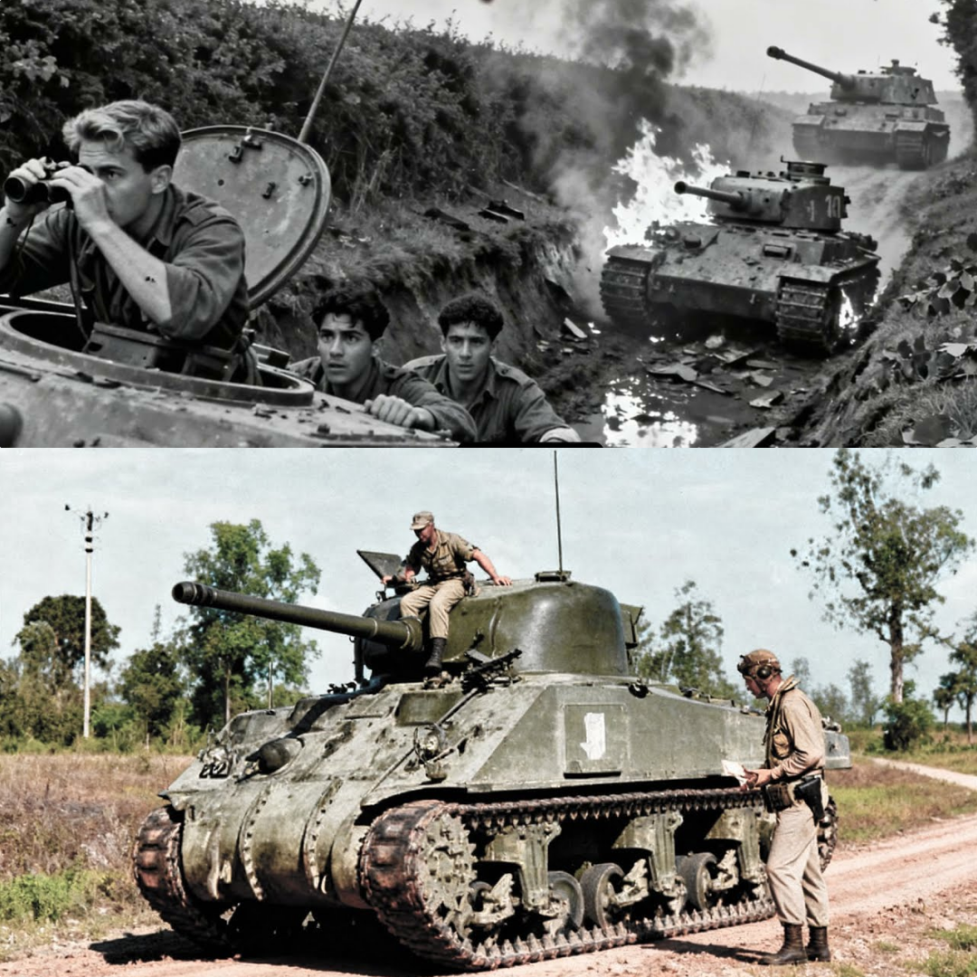 How One Gunner’s “Impossible” Trick Turned M4 Sherman Into a Tiger Killer
