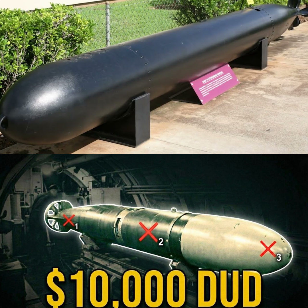 The Mark 14 Torpedo Killed 11 Out of 13 Times — And Nobody Admitted Why