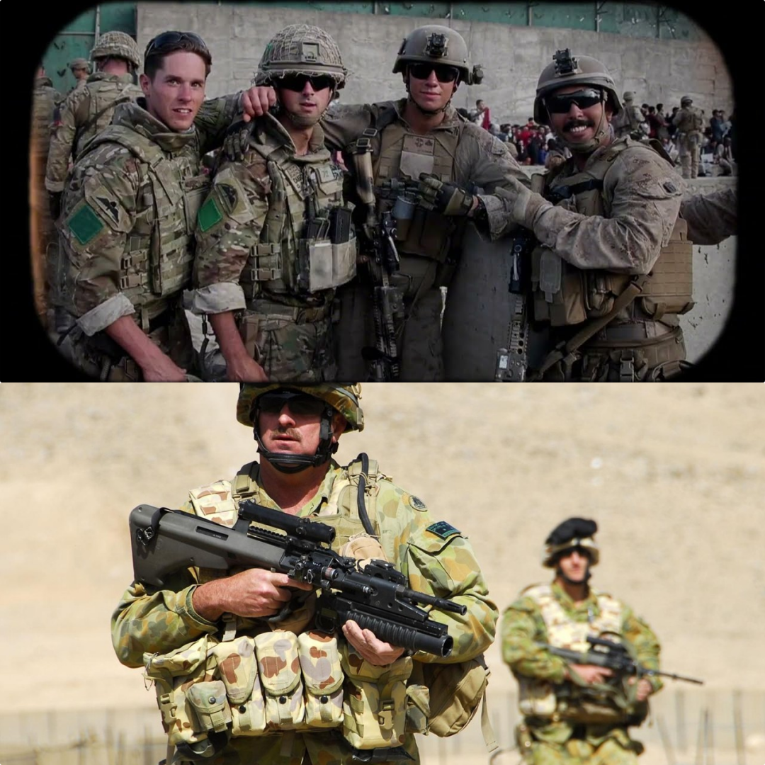 The HORRORS of the SASR Warrant Officer: Why This Rank Has More Authority Than a US Colonel