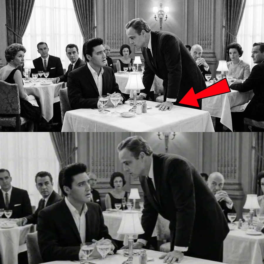 Marlon Brando Told Elvis “You’re Wasting Your Talent” — Elvis’s Response STUNNED Him