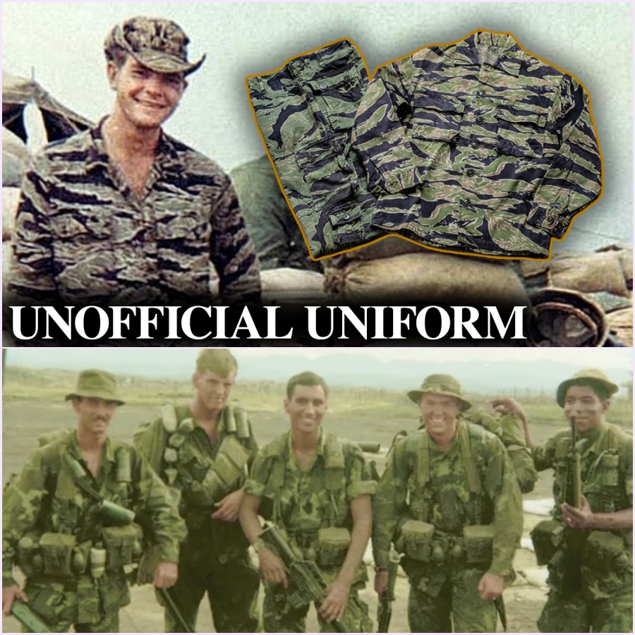 Why Vietnam’s Elite Chose Tiger Stripe (And The Army Didn’t)