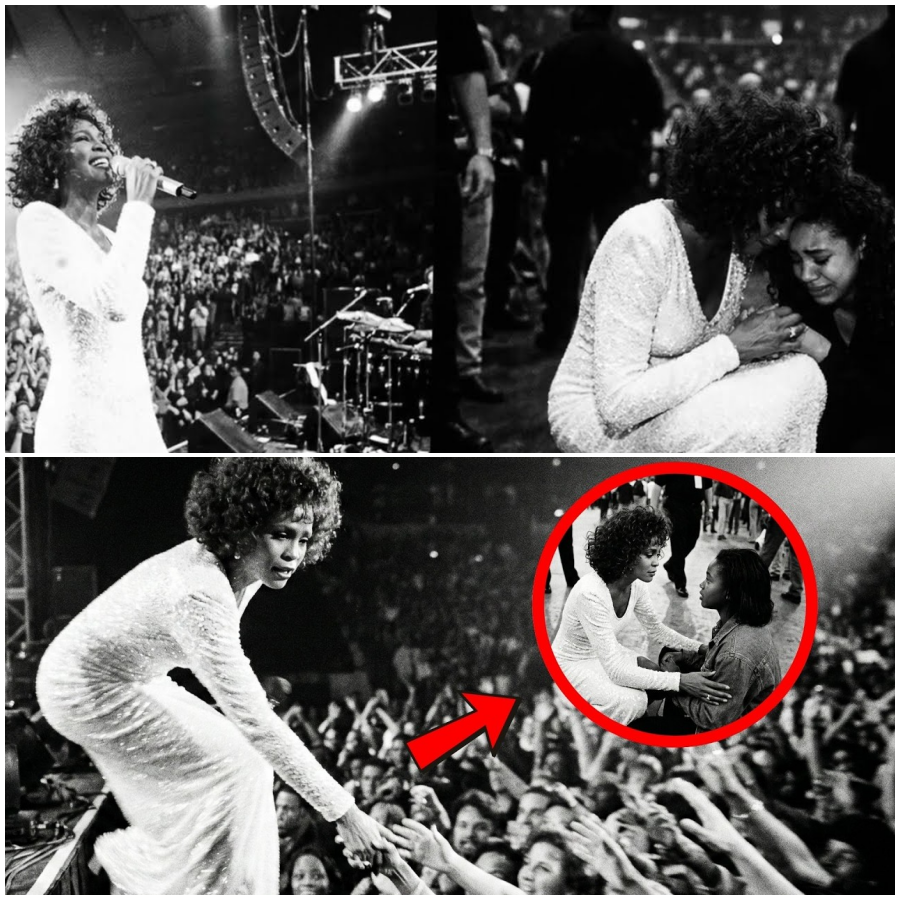 Whitney Stopped Her Concert for Collapsed Fan — What She Did for a Collapsed Fan Changed Everything