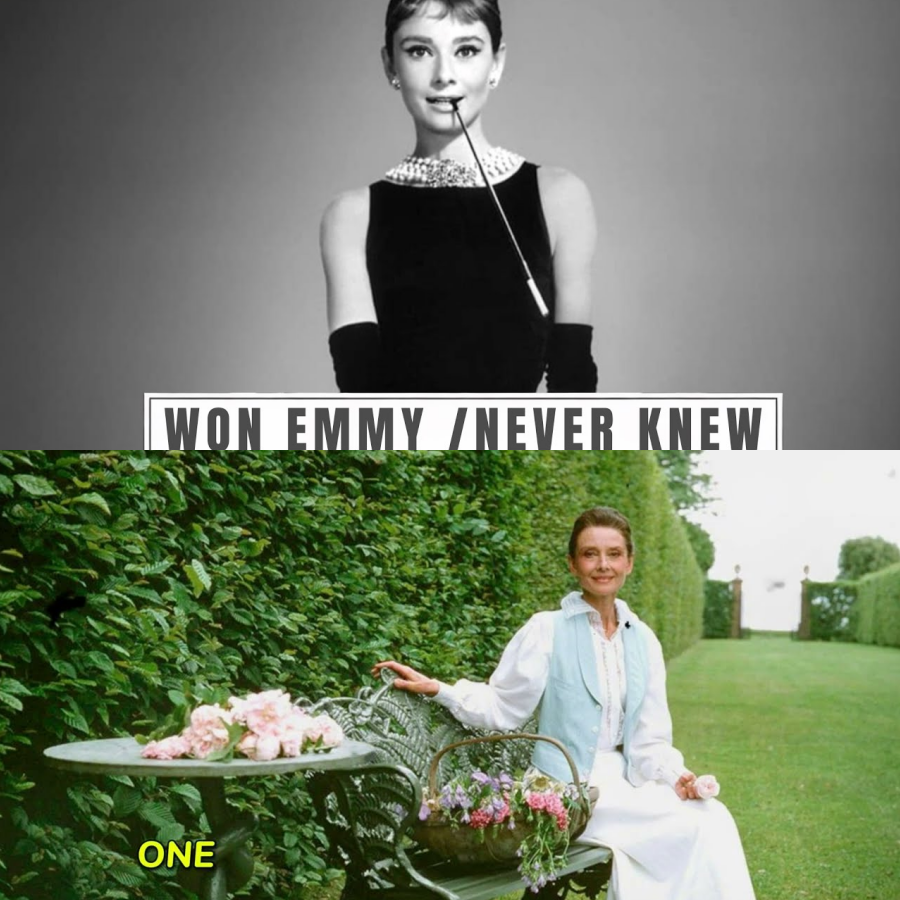 Audrey Waited All Year To See Her Documentary. January 20: She Closed Her Eyes. January 21: It Aired