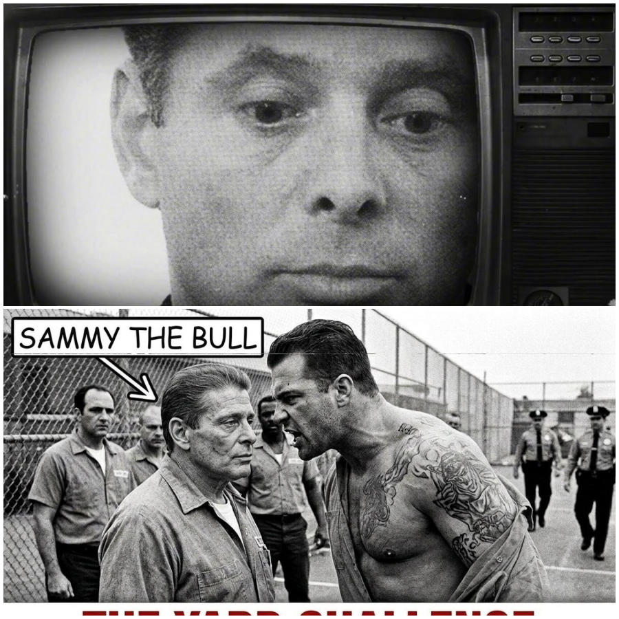 Prisoner Challenged Sammy The Bull In The Yard — 5 Minutes Later Guards Rushed In