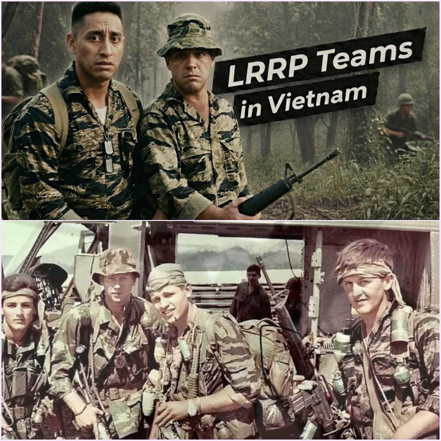 The HORRORS of LRRP Teams In Vietnam
