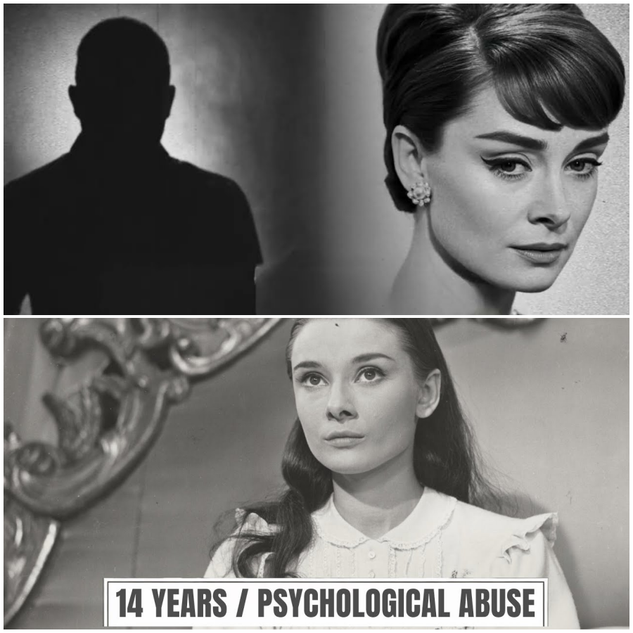 The Man Who Destroyed Audrey: 14 Years of Psychological Abuse