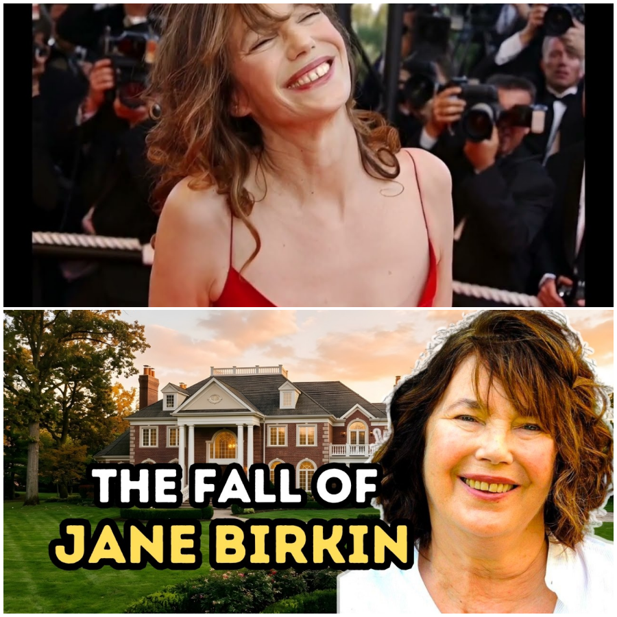 The Socialite Who Fell Too Fast: The Tragic End of Jane Birkin