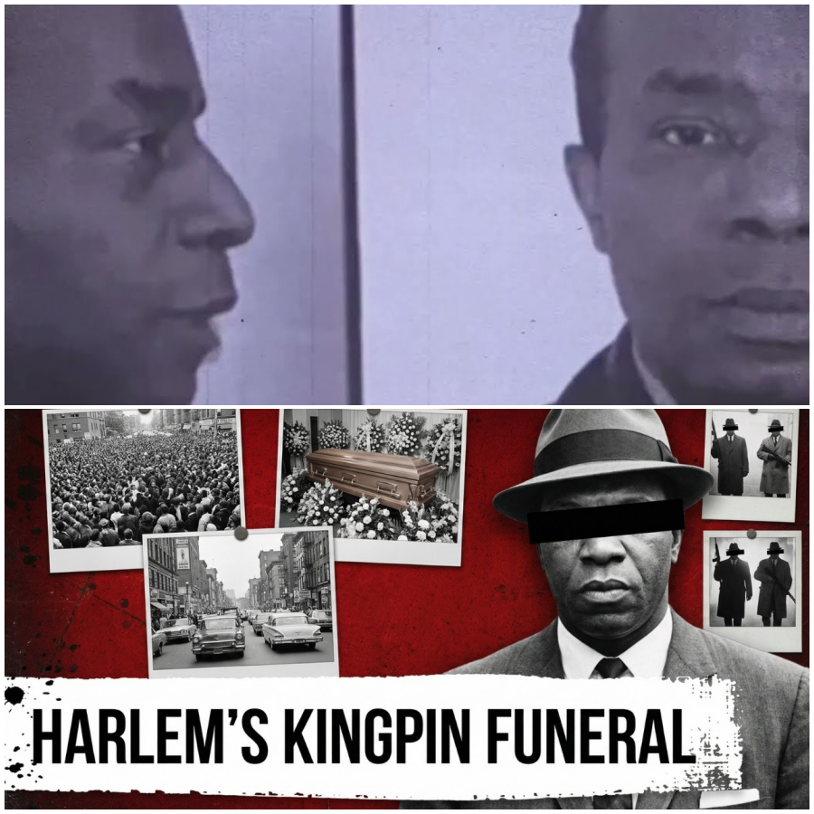His Funeral Shut Down Harlem for 3 Days — The Crime War That Started the Next Morning Killed 40 Men