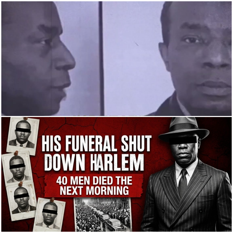 His Funeral Shut Down Harlem for 3 Days — The Crime War That Started the Next Morning Killed 40 Men