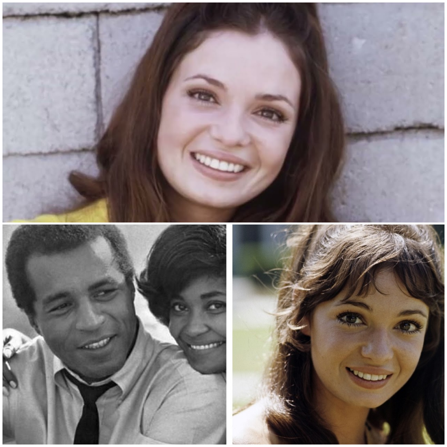 Room 222 Cast Then and Now | How They Changed since 1969