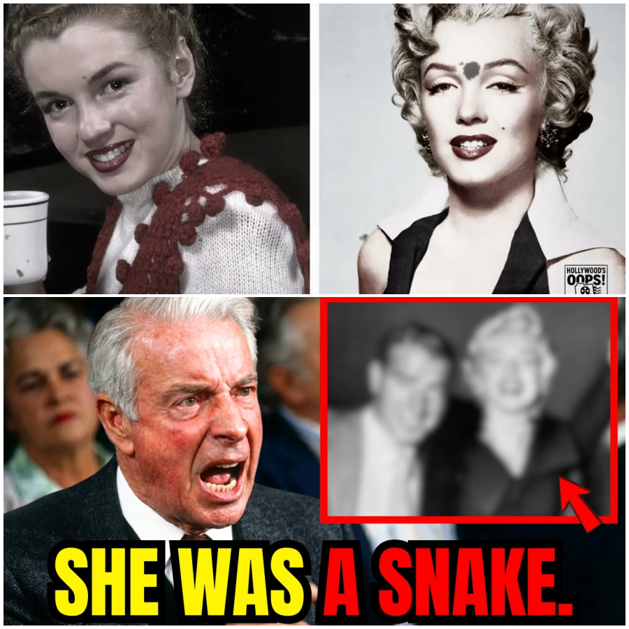 Joe DiMaggio Revealed The Horrors Of Being Married To Marilyn Monroe.