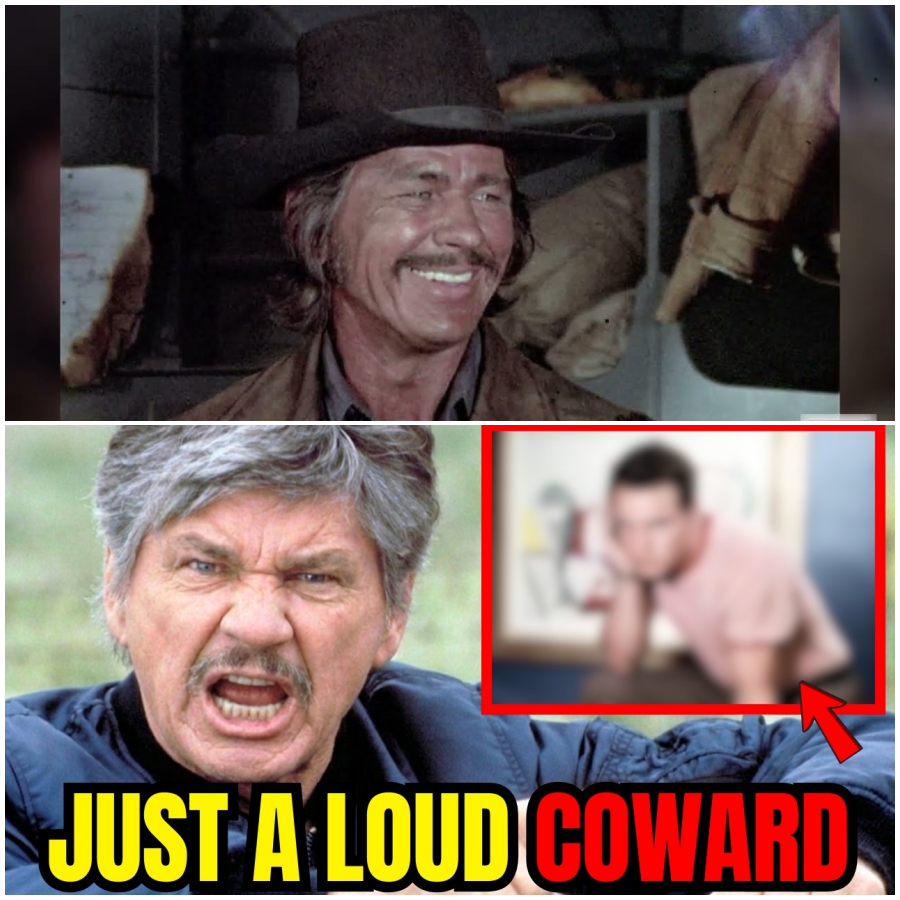 Charles Bronson Finally Exposes The 5 Actors He Despised!