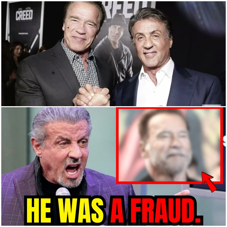 Sylvester Stallone Truly Hated Him More Than Anyone!
