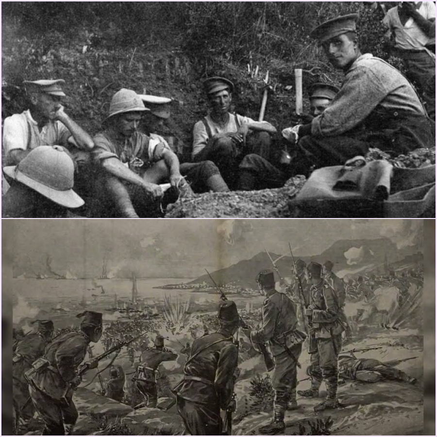 “They Bombarded Empty Trenches” — How Australians Made the Turkish Army Look Stupid