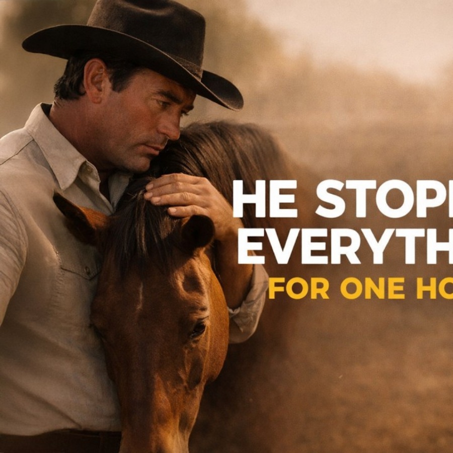 Gregory Peck Found an Injured Horse on Set — Gregory Peck STOPPED Everything for an Injured Horse