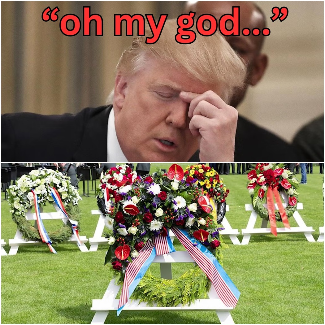 Trump PANICS After Removed Panels Honoring Black Soldiers Restored D
