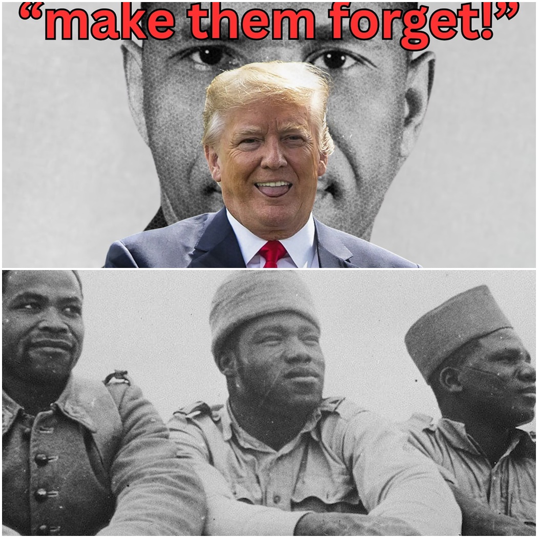 Trump Just Erased a Soldier He Called a Hero D
