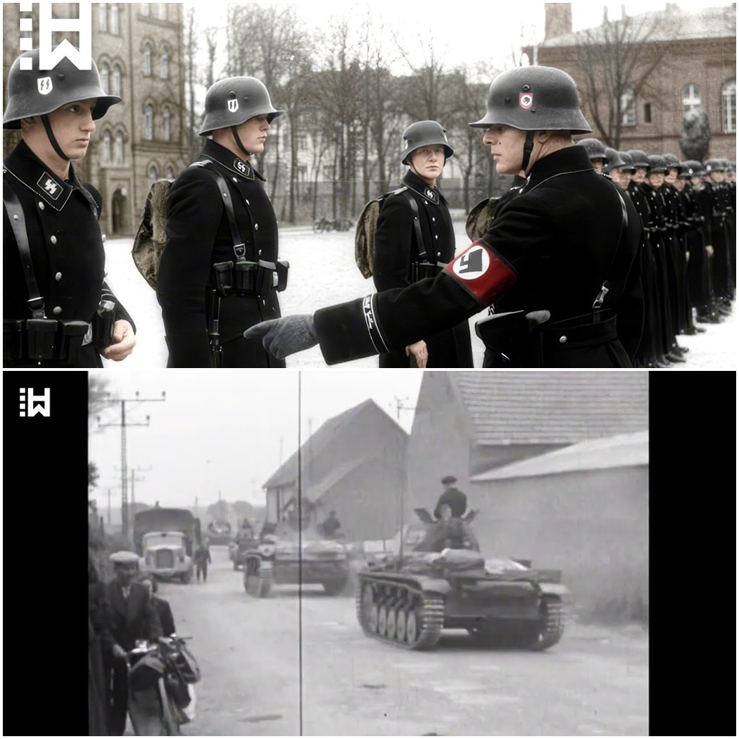 When the SS Finally Paid: Leibstandarte—Hitler’s Elite Unit D