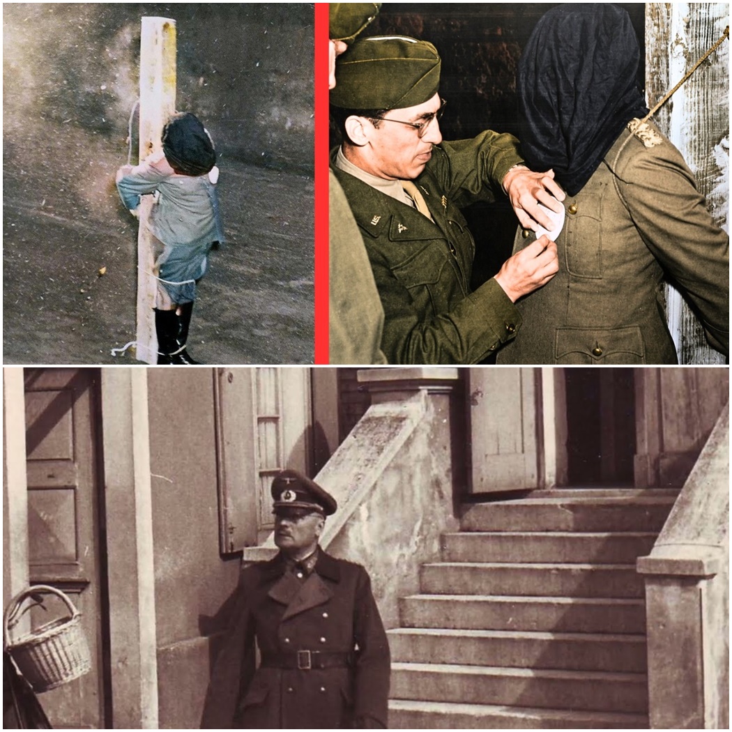 Why General Dostler Was Executed By Firing Squad D