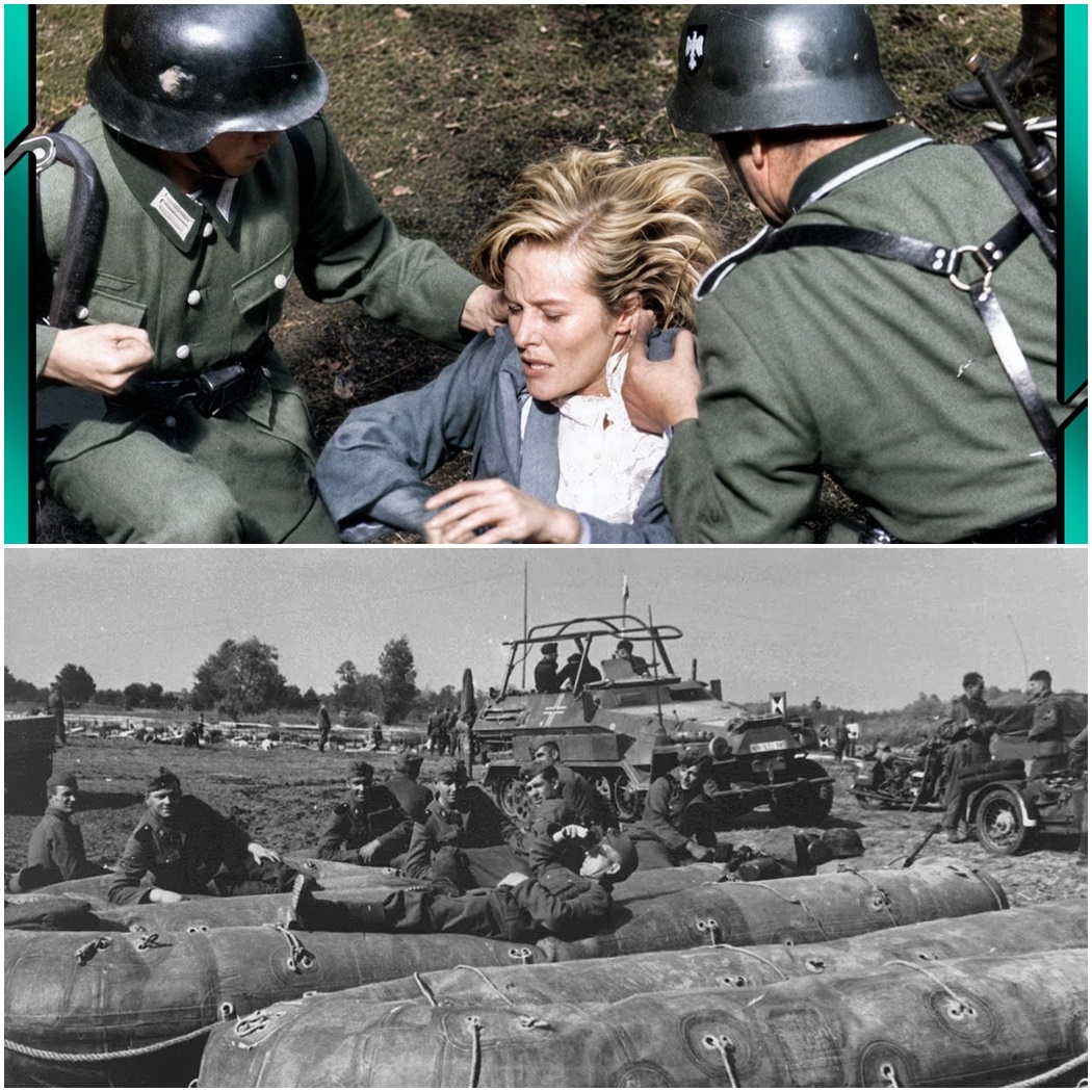 An Incredible Story from a Waffen-SS Soldier. The Leibstandarte Division on the Eastern Front. D