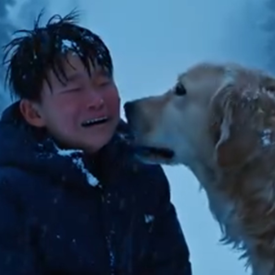My Stepfather Left Me to Die in a Blizzard — But He Never Expected a Dog Who Refused to Let the Night Win D