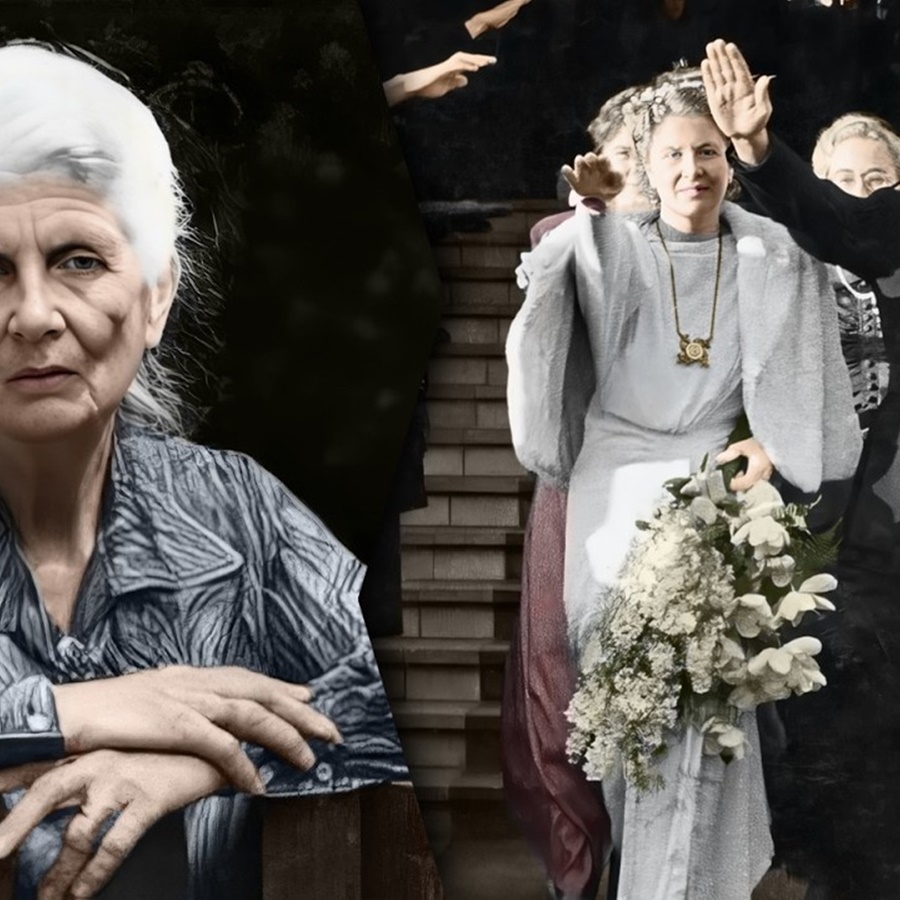 Too Radical Even for Nazis — The Dutch “Black Widow” D