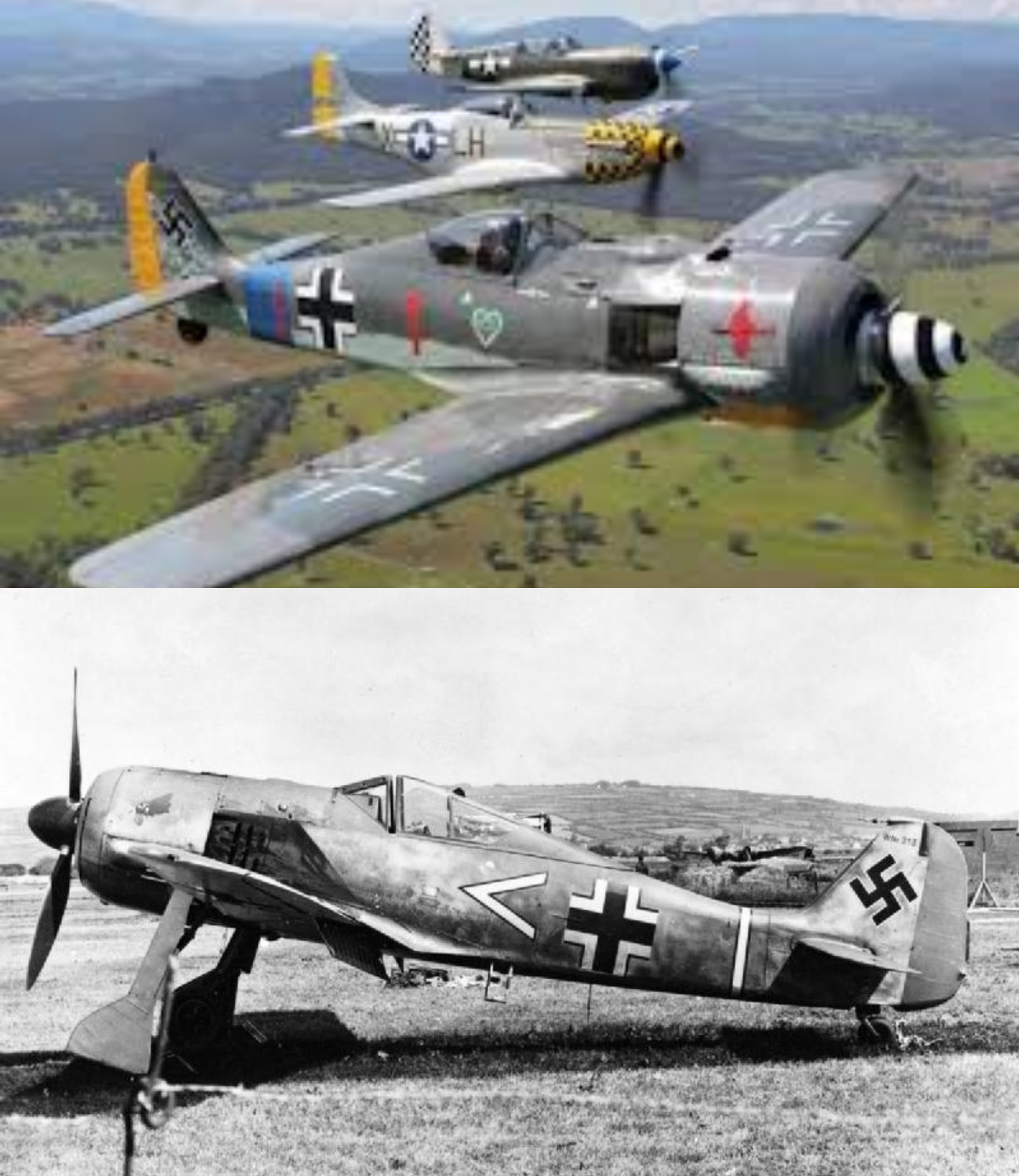 The Rarest Focke-Wulf 190 – Unique German ‘Butcher Bird’