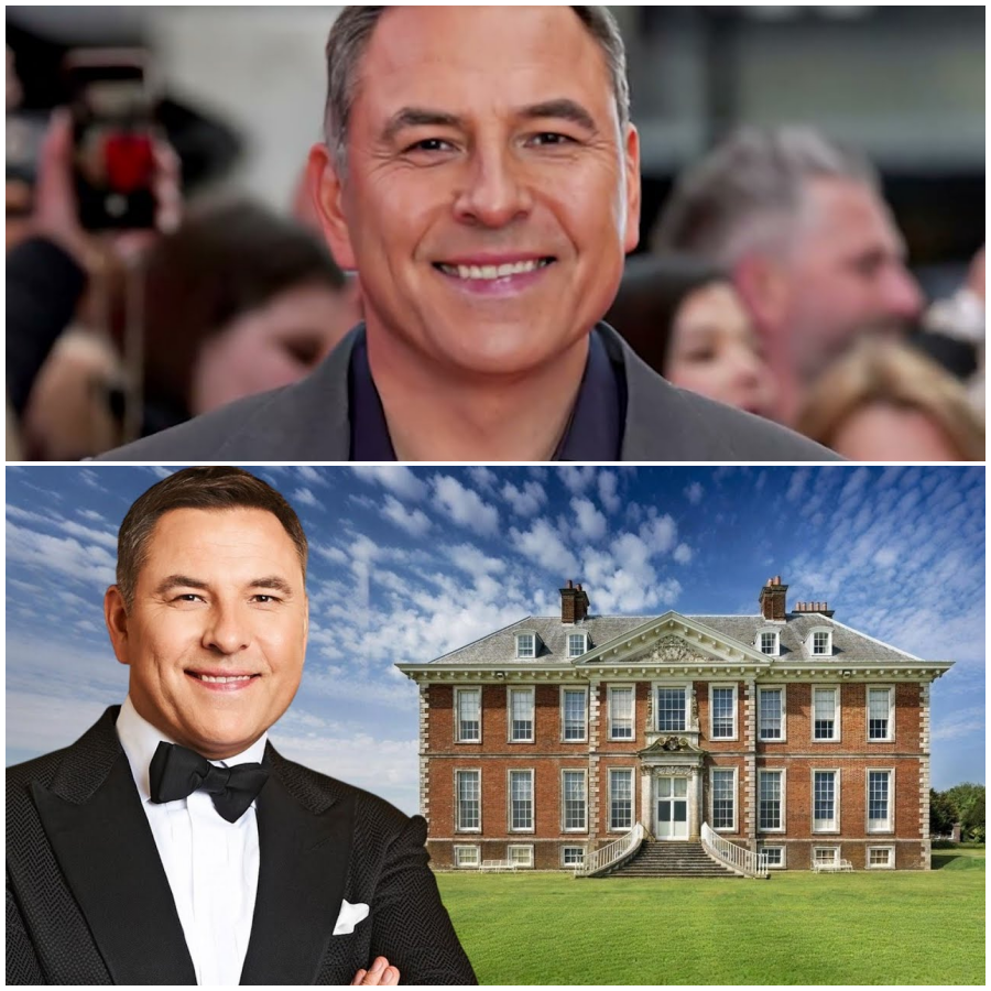 What Really Happened to David Walliams From Britain’s Got Talent