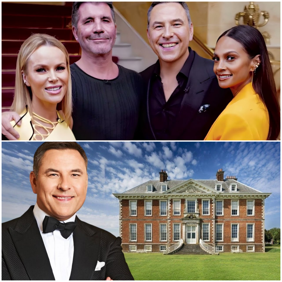 What Really Happened to David Walliams From Britain’s Got Talent
