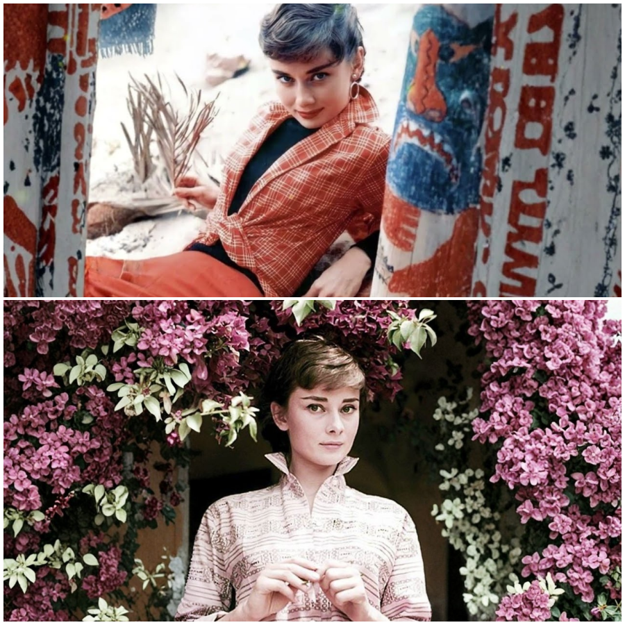 After Marilyn Monroe, He Photographed Audrey Hepburn Differently Milton H. Greene’s Journey