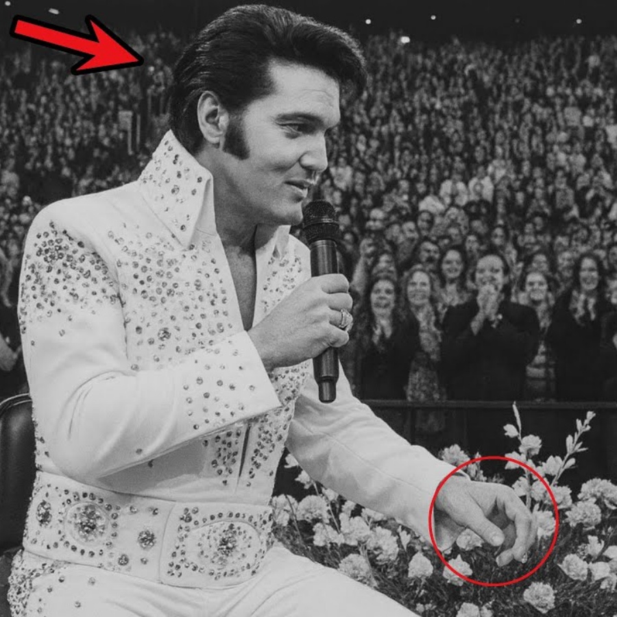 Elvis found out he was going to be a GRANDFATHER on stage – crowd went wild