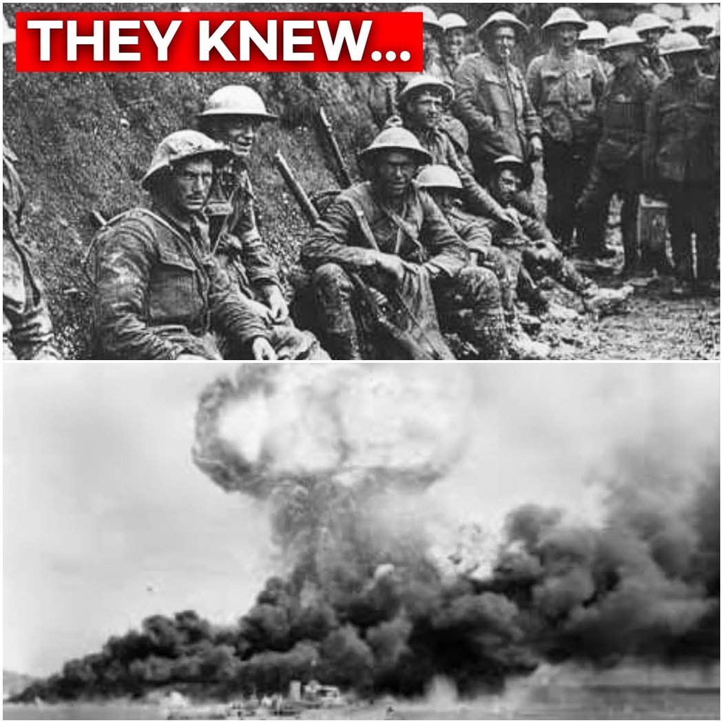 Why Japanese Couldn’t Explain How Australian Squads Fought Without Orders D