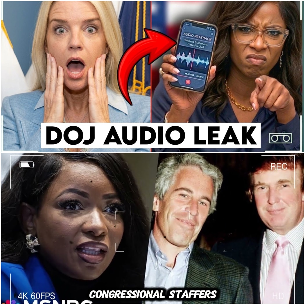Crockett Plays 14-Second Audio — Bondi’s Reaction Shocks the Entire Room D