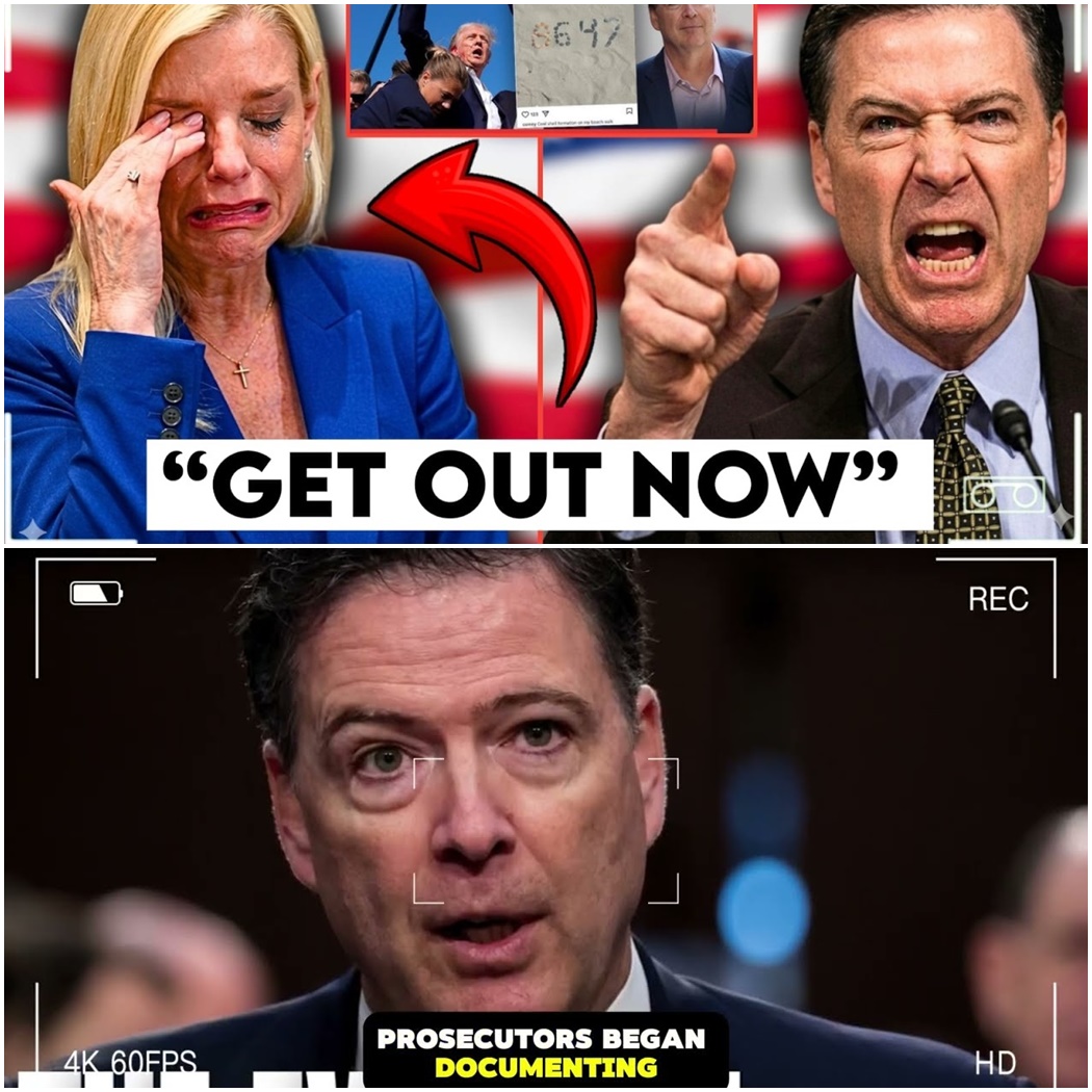 Pam Bondi Removed as DOJ Implodes — The Hidden Comey Case Pressure Exposed D
