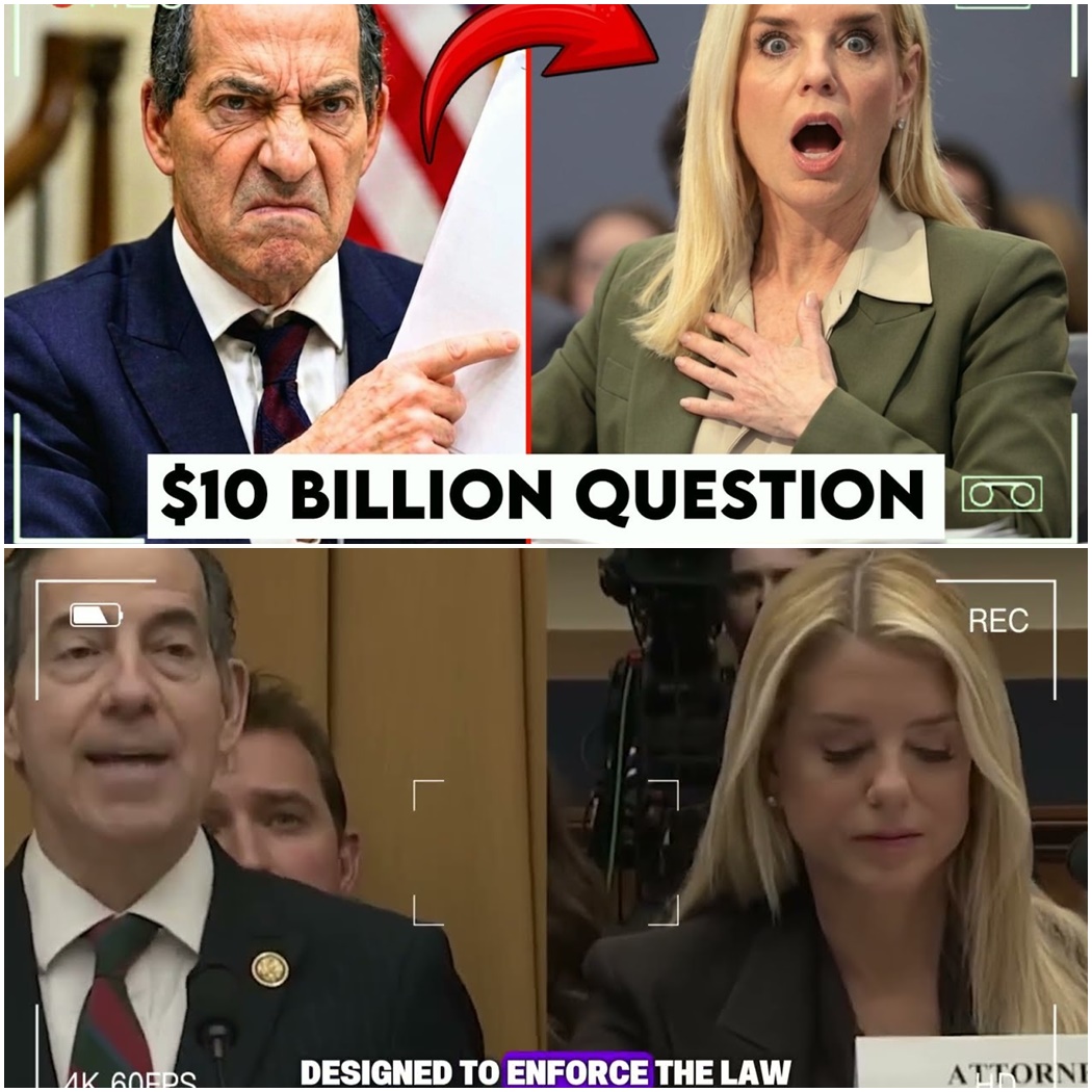 Raskin Blindsided Bondi With a $10 Billion Constitutional Question — She Snapped D