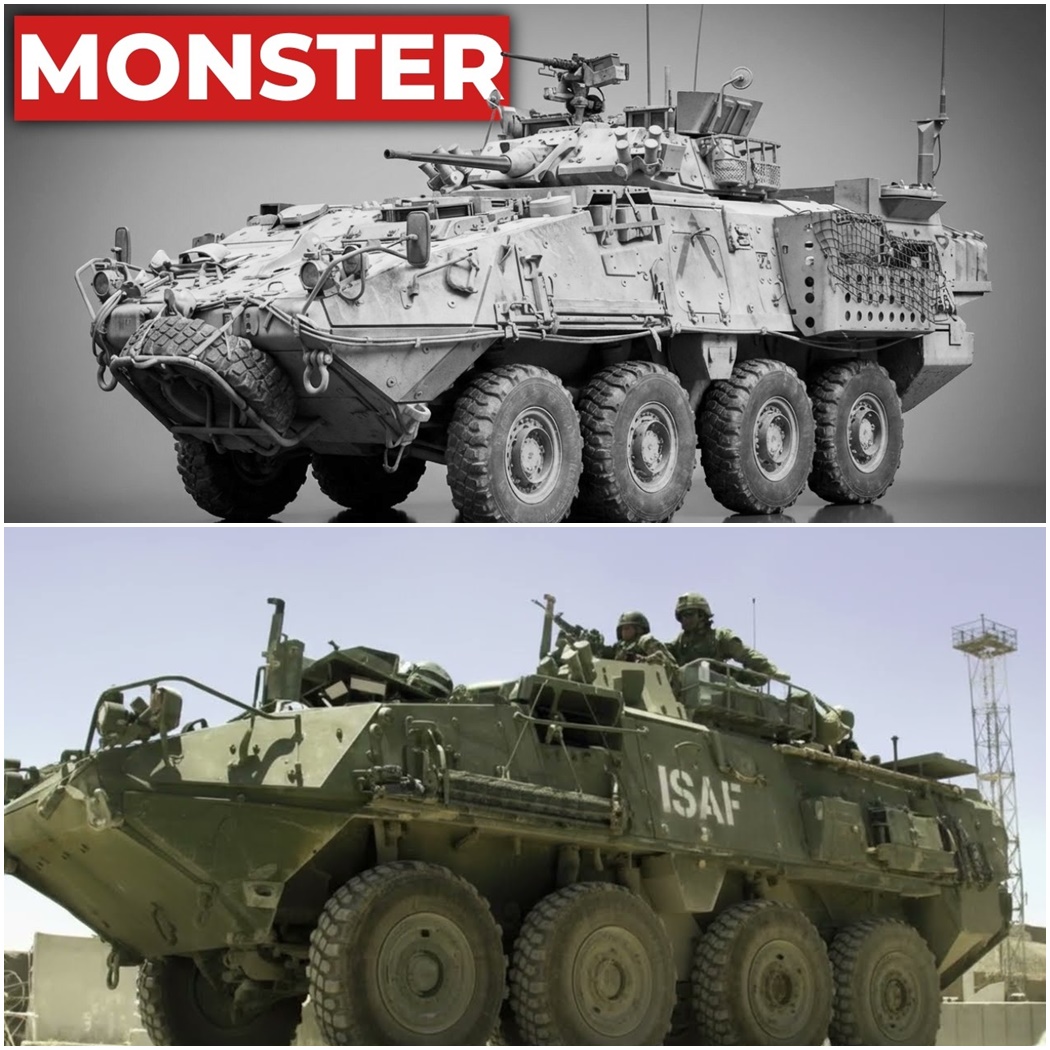 The ‘Quiet’ Canadian 8×8 That Survived Every Taliban Ambush The Afghan Mountains Threw At It D
