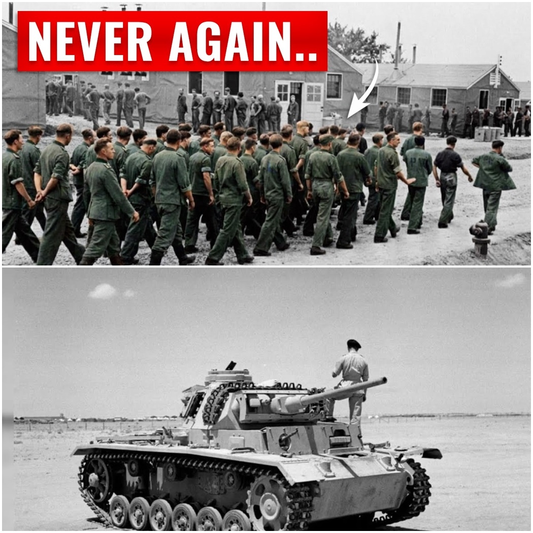 Why German Officers Said Americans Never Made The Same Mistake Twice D