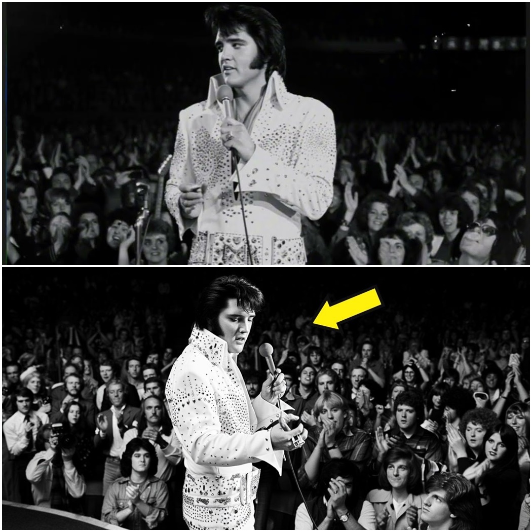 Elvis DESTROYED a Drunk heckler with one sentence — the arena erupted in applause D