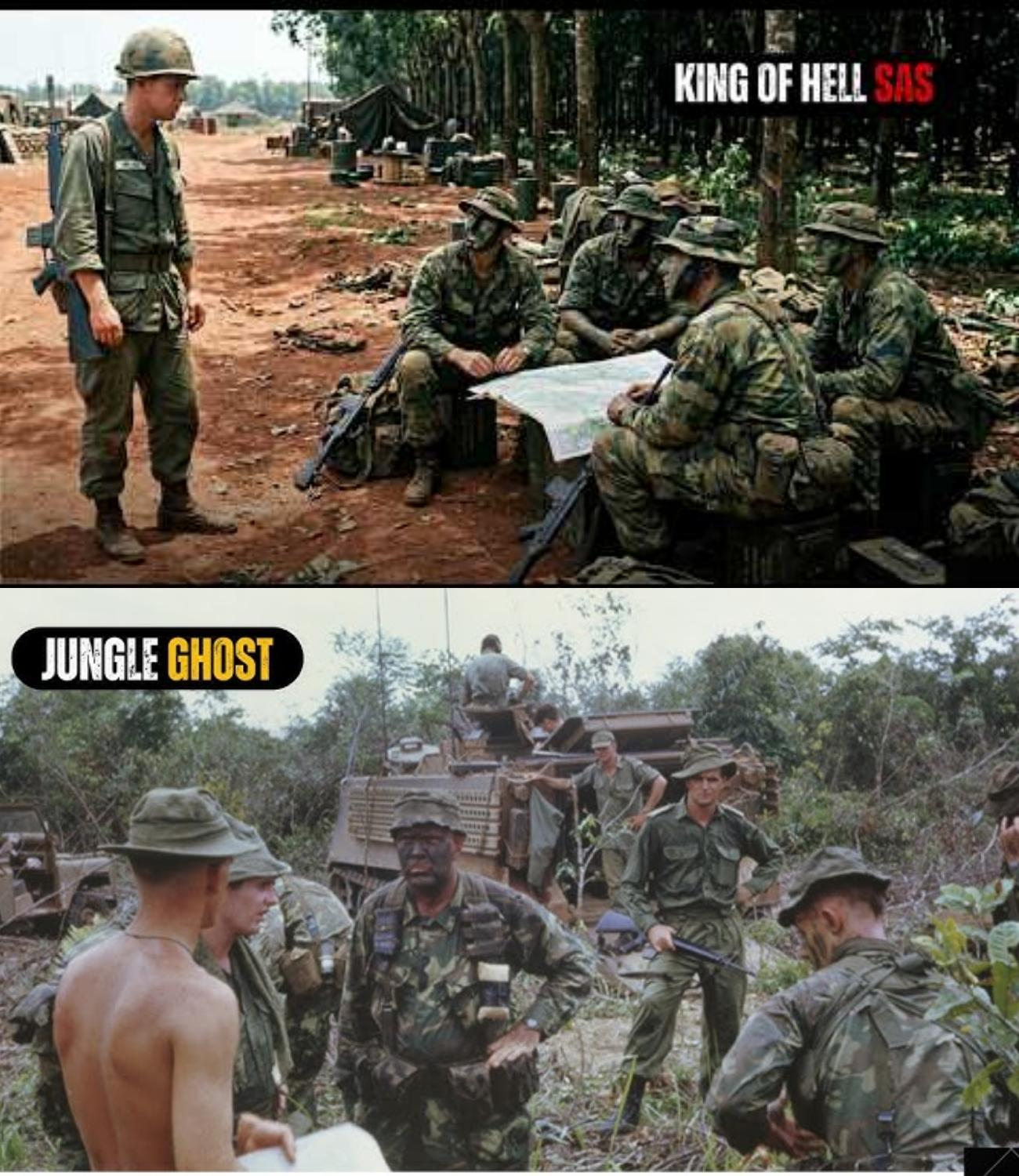 “They Hunt in Silence” — The Australian Method America Could Never Master